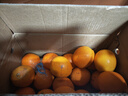 玖原农珍 赣南脐橙新鲜橙子含箱10斤净重9斤优选果150-300g 年货水果礼盒 实拍图