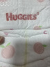 好奇（Huggies）铂金装小桃裤纸尿裤M144片(6-11kg)中号尿不湿【透爽散热】 实拍图