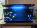 米家（MIJIA）小米米家智能生态鱼缸还原自然生态补仓一次三月无忧出差旅行必备 实拍图