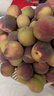 山东冬桃脆甜毛桃蜜桃雪桃水果冬桃桃子脆甜多汁新鲜冬桃-沐真 带箱9斤 实拍图