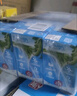 维他奶原味豆奶植物蛋白饮料250ml*24盒 营养早餐豆奶 囤货 聚会分享 实拍图