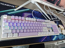 本手《鲸语星愿》主题机械键盘有线电竞游戏键盘鼠标套装台式电脑笔记本打字办公女生发光吃鸡键鼠套装 《鲸语星愿》白紫【彩光】青轴 机械键盘104键 实拍图