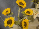 【向日葵】生日礼物鲜切花云南基地直发新鲜太阳花鲜花毕业花束 向日葵10枝 中大花 中大花向日葵 实拍图
