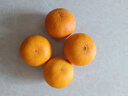 京鲜生 爱媛果冻橙 净重5斤 单果130g起 生鲜水果桔子礼盒 实拍图