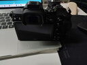 尼康（Nikon） 【全新国行正品带票】Z5全画幅微单数码相机微单套机高清专业微单套机 拆单机 Z5单机身/全新拆机身（可录视频） 标配【送钢化膜+热靴熊猫+清洁套+手腕带】 实拍图