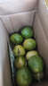 黄金百香果钦蜜9号新鲜当季现摘精选好果水果百香果鲜果酸甜可口 钦蜜9号黄金百香果 ＜40g小果 1斤 实拍图
