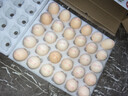 正大食品  正大 鲜鸡蛋 30枚 3.18斤 早餐食材 优质蛋白  礼盒装 实拍图