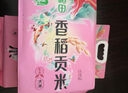 十月稻田 2025年新米 五常香米 五常大米 10斤（东北大米 5公斤/十斤） 实拍图