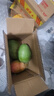 京鲜生杨枝甘露芒果 净重4.5斤 带箱5斤 单果500g+ 生鲜水果源头直发 实拍图