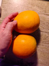 集南鲜 赣南脐橙 江西橙子新鲜现摘水果脐橙时令生鲜水果甜橙 水果礼盒 净重9斤 甄选橙 单果70-80mm 实拍图