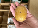 佳沛（zespri）新西兰  阳光金奇异果18粒礼盒优选果单果约101-124g 猕猴桃水果 实拍图