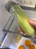 滇味十足（DIANWEISHIZU）水果玉米甜玉米云南金银双色新鲜甜嫩水果玉米棒鲜玉米茄果瓜 金银双色 【精选5斤】（净重 约5-9根） 实拍图