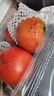 童年味道西红柿约1kg 实拍图