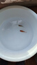 金鱼草金鱼观赏鱼冷水好养耐活小鱼苗锦鲤 2-4cm 红草金买1条送1条（加备损） 实拍图