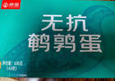 京觅新鲜无抗鹌鹑蛋 生鲜蛋 健康好蛋 63枚/盒 源头直发 实拍图