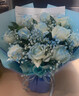 百花馆鲜花速递玫瑰花束生日礼物女士真花礼品送女友老婆同城配送当日达 【星辰之恋】11朵白玫喷碎冰蓝+满天星|dy679 实拍图