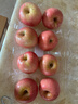 京鲜生 烟台红富士苹果 8粒装 单果160-190g 生鲜水果 实拍图