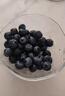怡颗莓Driscoll's当季新鲜云南蓝莓14mm+ 2盒装 约125g/盒 京东超市水果 实拍图