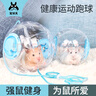 宠尚天 仓鼠跑球运动玩具外带出门金丝熊滚轮跑球水晶球跑球15cm 实拍图