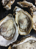 鲜京采 鲜活生蚝5XL 净重5斤 9-12只 鲜活到家 生鲜海鲜 源头直发 实拍图