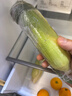 滇味十足（DIANWEISHIZU）水果玉米甜玉米云南金银双色新鲜甜嫩水果玉米棒鲜玉米茄果瓜 金银双色 【精选5斤】（净重 约5-9根） 实拍图