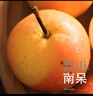 樱慕晴【JD地标认证】正宗辽宁鞍山南果梨东北特产南国梨香水梨新鲜水果 净重5斤【普装小果黄梨】约40枚 实拍图
