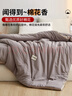 无印良品A类100%新疆棉花被子 秋冬被芯棉被 厚6斤150*200cm 实拍图