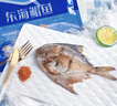 鲜到鲜得 东海银鲳鱼400g/2条装 平鱼 生鲜 鱼类 深海鱼 海鲜水产 实拍图