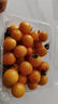 京喜加夏日阳光小番茄黄色迷恋圣女果即食水果小柿子现摘现发减肥 黄色圣女果三斤装 实拍图