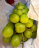 京鲜生国产阳光玫瑰净重4.5斤单果10-12g葡萄/提子 源头直发包邮 实拍图