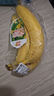黄胖子进口香蕉650g 实拍图