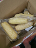 京鲜生东北白糯玉米250g*10棒 新鲜甜糯玉米棒真空包装粘玉米 源头直发 实拍图