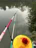 达亿瓦（DAIWA）25新款一击樱 别誂 综合休闲竿野钓鲫鲤手杆台钓竿 7.2m 不支持使用/试用后退换货 实拍图