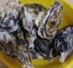 鲜京采 鲜活生蚝3XL 净重5斤 13-18只 鲜活到家 生鲜海鲜 源头直发 实拍图