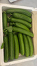 山东寿光水果黄瓜生吃脆新鲜荷兰青瓜当季无刺小黄瓜源头直发 精品水果黄瓜净重 4.5斤 实拍图