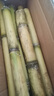 【精选中段】黄金甘蔗现砍黄皮甘蔗新乡当季水果脆甜榨汁-乐磊B 带箱5斤优选 实拍图