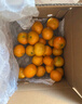 京鲜生 金秋砂糖橘/砂糖桔 5斤 生鲜水果礼盒  实拍图