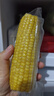 当季新货头茬东北黄甜糯玉米棒真空包装低脂黄糯大棒甜东北黏苞米 黄糯玉米【120-160克】6根 实拍图