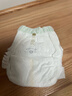 babycare金山茶花拉拉裤XL34片(12-17kg)婴儿尿不湿超薄透气新生柔花苞裤 实拍图