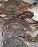 舟山梭子蟹鲜活特大野生大螃蟹新鲜冷冻海鲜水产海蟹飞蟹白蟹顺丰 净重3-4两/只【10只 精品野生】 实拍图
