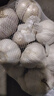 大蒜头出口品质网兜紫蒜蔬菜调料新鲜大果烧烤火锅食材 【精品网兜装】1斤装 450g 实拍图