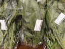大菠菜300g 实拍图
