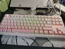 前行者【立省15%】X87Pro/Ultra无线机械键盘有线蓝牙三模gas客制化游戏电竞磁轴办公专用侧刻电脑笔记本 X87S樱花粉金蛇轴-双8K回报率1.2万毫安 实拍图