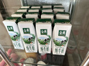 伊利【新鲜日期】金典纯牛奶整箱 250ml*16盒 3.6g乳蛋白 礼盒装 实拍图