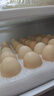 京鲜生【每日鲜蛋】无抗谷物鸡蛋30枚3.78斤 当日产蛋 当日发货 实拍图