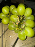 京鲜生 阳光玫瑰葡萄 青提4-4.5斤礼盒装 单果约10g 生鲜水果 生鲜礼盒 实拍图