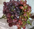 京鲜生 克伦森无籽红提 净重4斤装葡萄/提子 克伦生 源头直发 实拍图