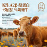 认养一头牛4.0g乳蛋白A2β-酪蛋白娟姗高钙纯牛奶250ml*10盒梦幻盖 送礼盒装 实拍图