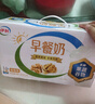 伊利早餐奶核桃味 250ml*24盒 优选核桃早餐伴侣 礼盒装  实拍图