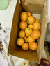 京觅 广西金秋砂糖橘净重3斤 单果40-50mm精品水果沙糖桔橘子源头直发 实拍图